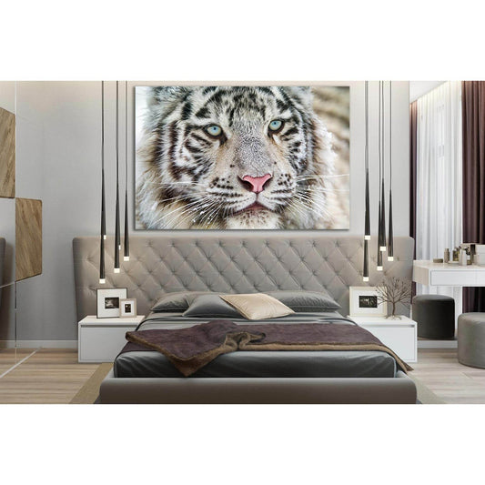 White Bengal Tiger №SL1545 Ready to Hang Canvas PrintCanvas art arrives ready to hang, with hanging accessories included and no additional framing required. Every canvas print is hand-crafted, made on-demand at our workshop and expertly stretched around 1