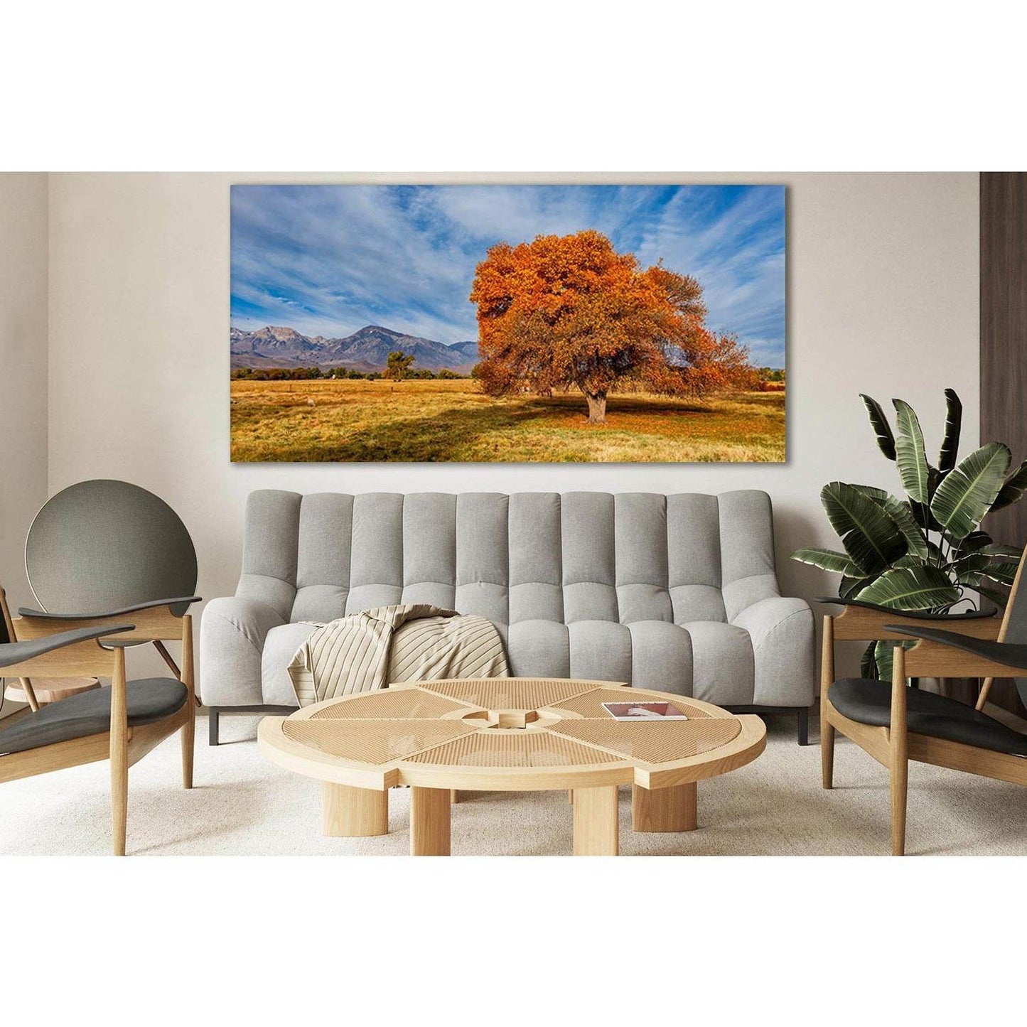 Tree In Sierra Trailer Park №SL813 Ready to Hang Canvas PrintCanvas art arrives ready to hang, with hanging accessories included and no additional framing required. Every canvas print is hand-crafted, made on-demand at our workshop and expertly stretched