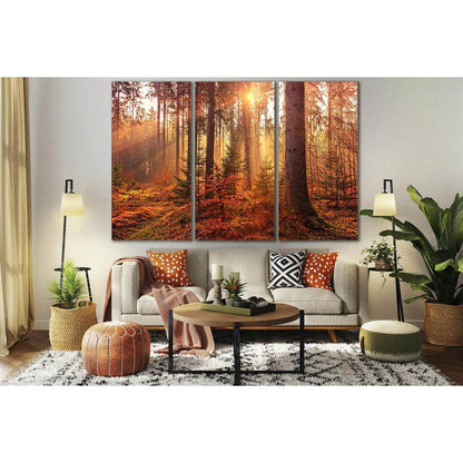 Sunset In The Forest №SL801 Ready to Hang Canvas PrintCanvas art arrives ready to hang, with hanging accessories included and no additional framing required. Every canvas print is hand-crafted, made on-demand at our workshop and expertly stretched around