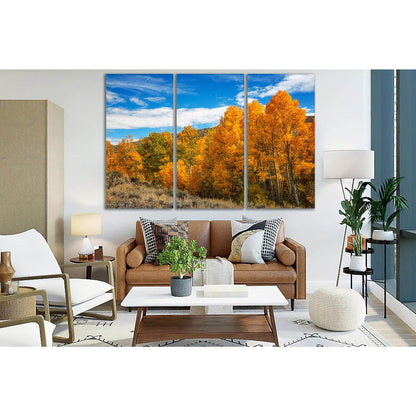 Forest Autumn California №SL636 Ready to Hang Canvas PrintCanvas art arrives ready to hang, with hanging accessories included and no additional framing required. Every canvas print is hand-crafted, made on-demand at our workshop and expertly stretched aro