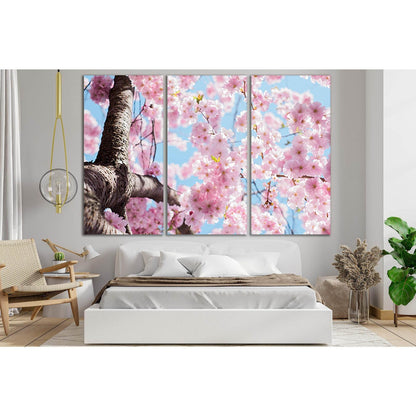 Cherry Blossom №SL721 Ready to Hang Canvas PrintCanvas art arrives ready to hang, with hanging accessories included and no additional framing required. Every canvas print is hand-crafted, made on-demand at our workshop and expertly stretched around 100% N