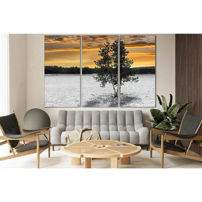 Pine In The Field In Winter №SL804 Ready to Hang Canvas PrintCanvas art arrives ready to hang, with hanging accessories included and no additional framing required. Every canvas print is hand-crafted, made on-demand at our workshop and expertly stretched