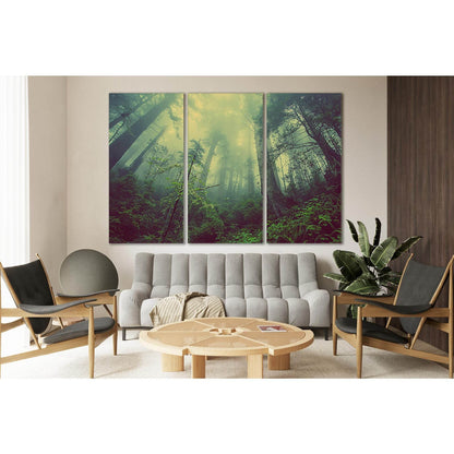 Forest Trees In The Fog №SL514 Ready to Hang Canvas PrintCanvas art arrives ready to hang, with hanging accessories included and no additional framing required. Every canvas print is hand-crafted, made on-demand at our workshop and expertly stretched arou