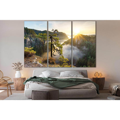 Pine Tree Towering On The Rock №SL794 Ready to Hang Canvas PrintCanvas art arrives ready to hang, with hanging accessories included and no additional framing required. Every canvas print is hand-crafted, made on-demand at our workshop and expertly stretch