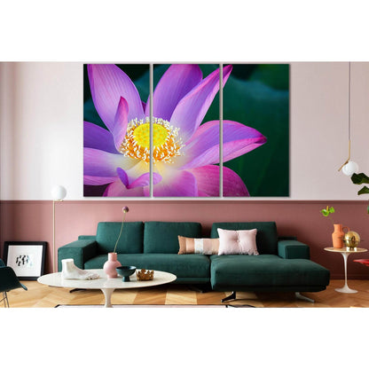 Close Up Of Lotus Flower №SL709 Ready to Hang Canvas PrintCanvas art arrives ready to hang, with hanging accessories included and no additional framing required. Every canvas print is hand-crafted, made on-demand at our workshop and expertly stretched aro