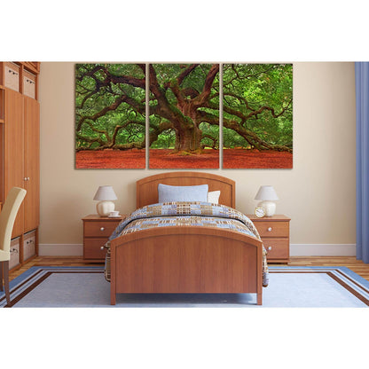 Angel Oak Tree №SL814 Ready to Hang Canvas PrintCanvas art arrives ready to hang, with hanging accessories included and no additional framing required. Every canvas print is hand-crafted, made on-demand at our workshop and expertly stretched around 100% N