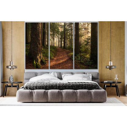 Road In The Forest №SL823 Ready to Hang Canvas PrintCanvas art arrives ready to hang, with hanging accessories included and no additional framing required. Every canvas print is hand-crafted, made on-demand at our workshop and expertly stretched around 10