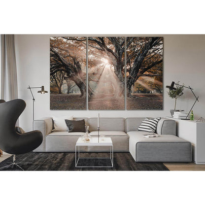 Trees In The Sunbeams №SL802 Ready to Hang Canvas PrintCanvas art arrives ready to hang, with hanging accessories included and no additional framing required. Every canvas print is hand-crafted, made on-demand at our workshop and expertly stretched around