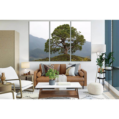 Beautiful Bonsai Tree №SL509 Ready to Hang Canvas PrintCanvas art arrives ready to hang, with hanging accessories included and no additional framing required. Every canvas print is hand-crafted, made on-demand at our workshop and expertly stretched around