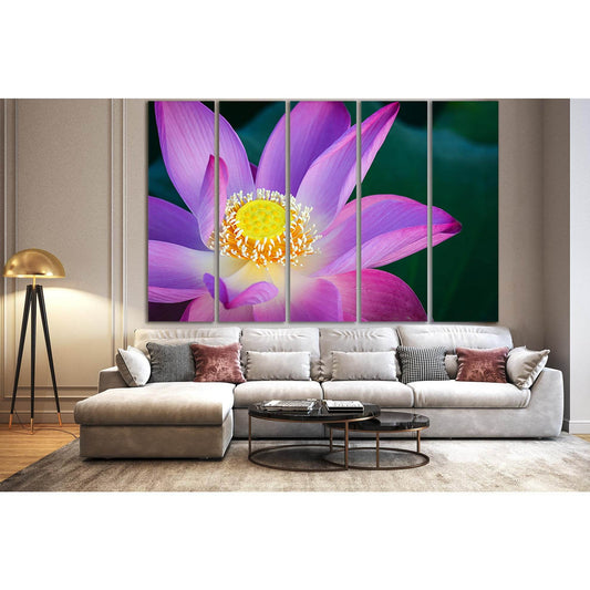 Close Up Of Lotus Flower №SL709 Ready to Hang Canvas PrintCanvas art arrives ready to hang, with hanging accessories included and no additional framing required. Every canvas print is hand-crafted, made on-demand at our workshop and expertly stretched aro