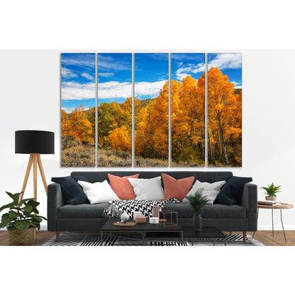 Forest Autumn California №SL636 Ready to Hang Canvas PrintCanvas art arrives ready to hang, with hanging accessories included and no additional framing required. Every canvas print is hand-crafted, made on-demand at our workshop and expertly stretched aro