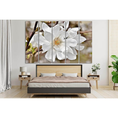 Blooming Magnolia №SL497 Ready to Hang Canvas PrintCanvas art arrives ready to hang, with hanging accessories included and no additional framing required. Every canvas print is hand-crafted, made on-demand at our workshop and expertly stretched around 100