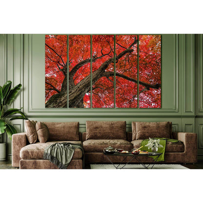 Crown Of The Autumn Tree №SL811 Ready to Hang Canvas PrintCanvas art arrives ready to hang, with hanging accessories included and no additional framing required. Every canvas print is hand-crafted, made on-demand at our workshop and expertly stretched aro