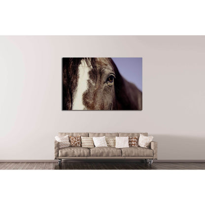 Closeup horse canvas print №5017Canvas art arrives ready to hang, with hanging accessories included and no additional framing required. Every canvas print is hand-crafted, made on-demand at our workshop and expertly stretched around 100% North American Pi