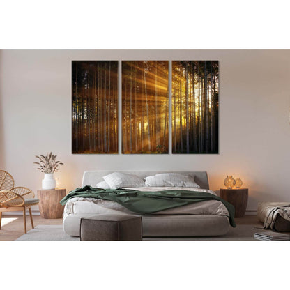 Forest in the sunbeams №D1863 Ready to Hang Canvas PrintCanvas art arrives ready to hang, with hanging accessories included and no additional framing required. Every canvas print is hand-crafted, made on-demand at our workshop and expertly stretched aroun