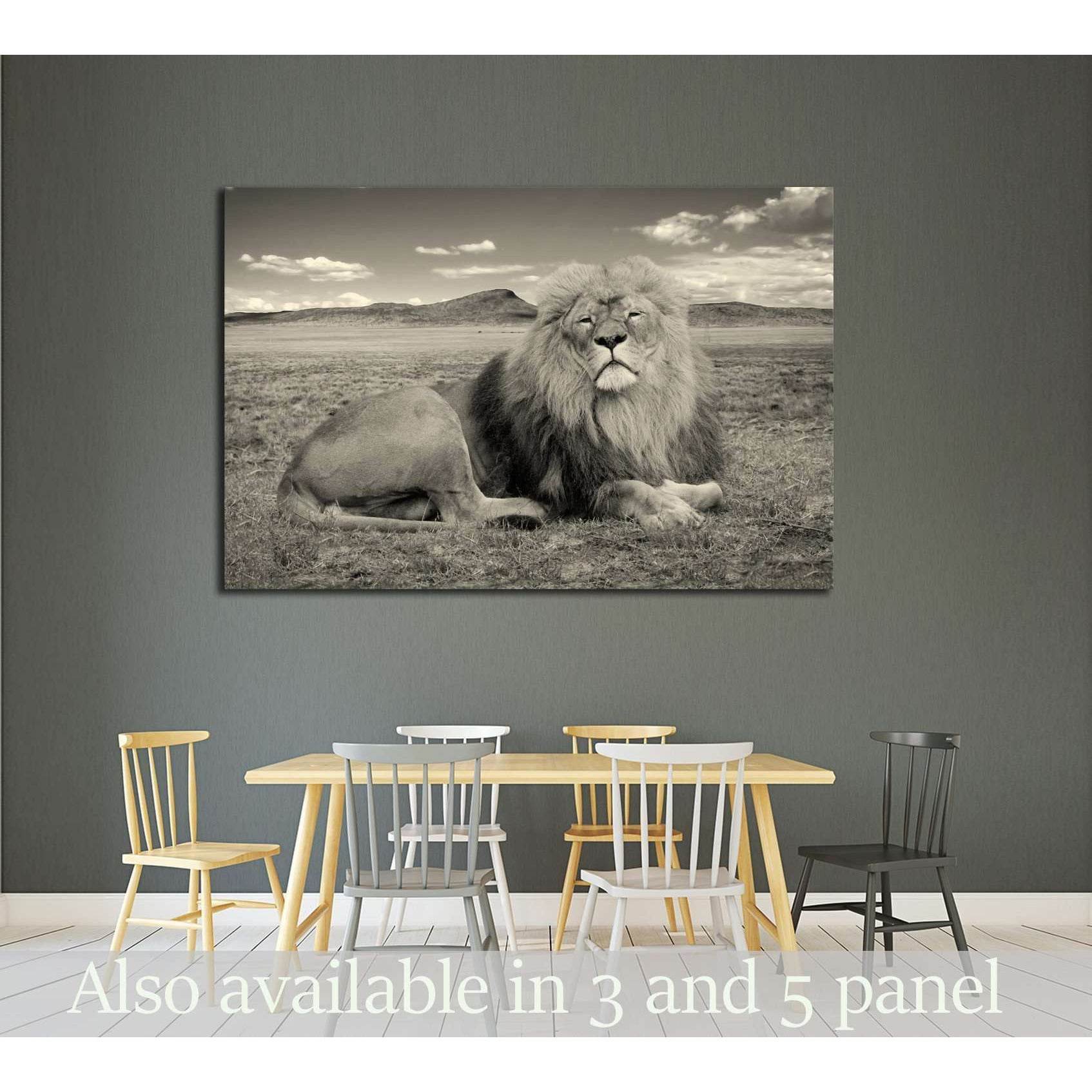 Sepia Lion Portrait Wall Art PrintDecorate your walls with a stunning Sepia Lion Canvas Art Print from the world's largest art gallery. Choose from thousands of Lion artworks with various sizing options. Choose your perfect art print to complete your home