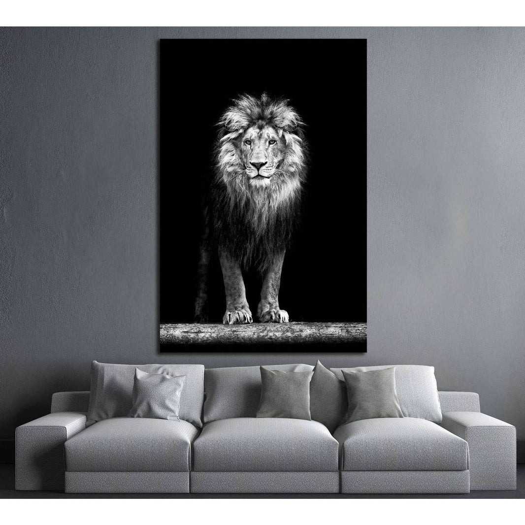 Black & White Wall Art