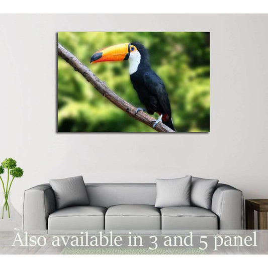 beautiful tucan, sitting on a branch №2788 Ready to Hang Canvas PrintCanvas art arrives ready to hang, with hanging accessories included and no additional framing required. Every canvas print is hand-crafted, made on-demand at our workshop and expertly st