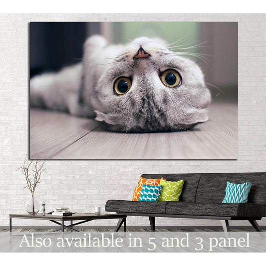 Cat lying on the floor №11 Ready to Hang Canvas PrintCanvas art arrives ready to hang, with hanging accessories included and no additional framing required. Every canvas print is hand-crafted, made on-demand at our workshop and expertly stretched around 1