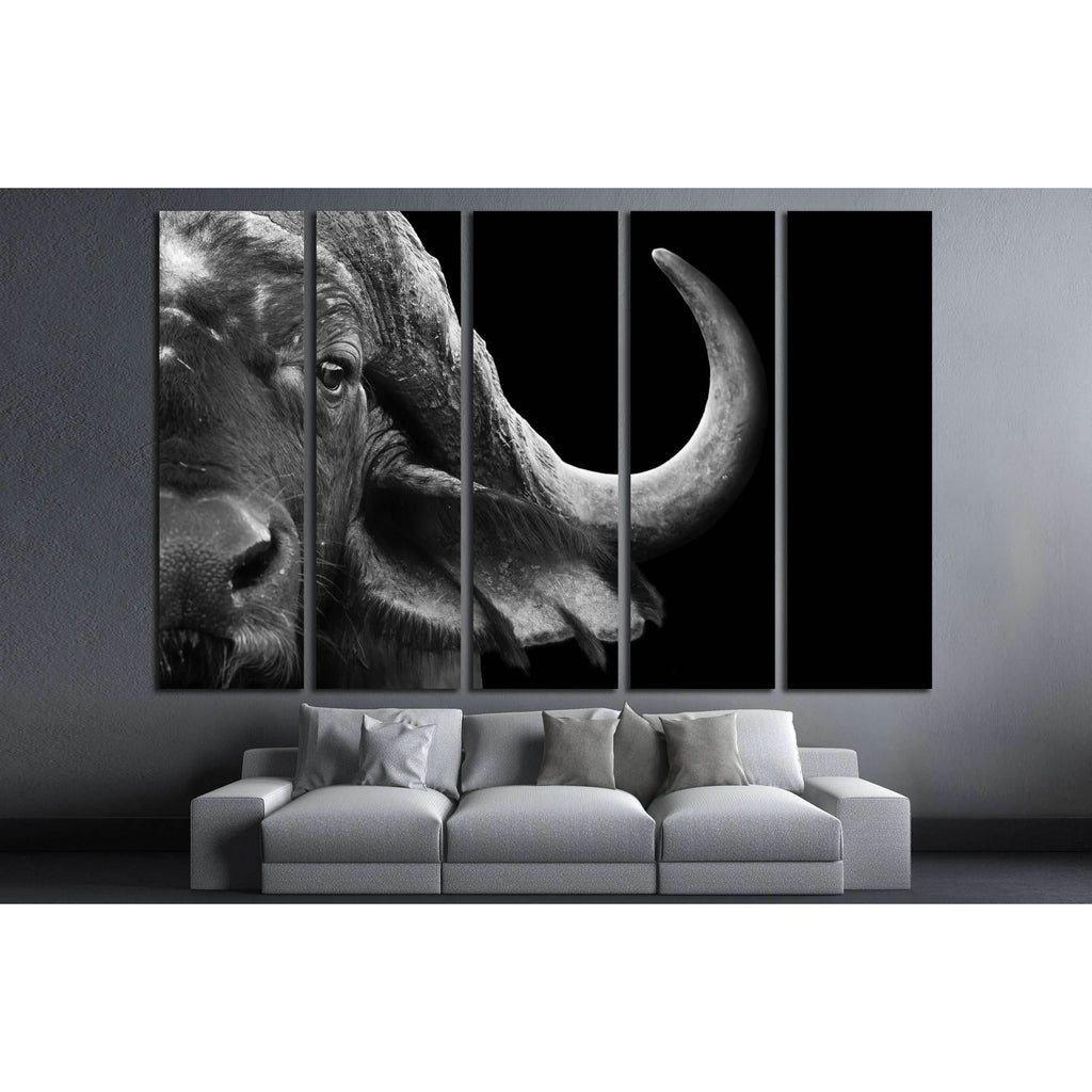 Close up black and white image of an African cape buffalo №2791 Ready ...