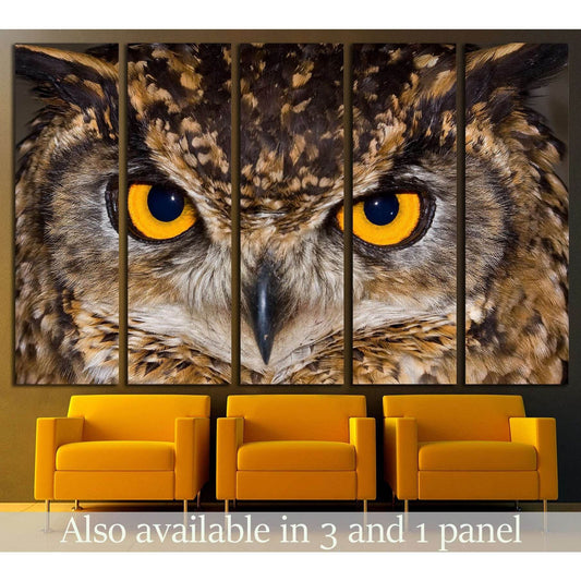 Close-up of a Cape Eagle Owl with large piercing yellow eyes №2333 Ready to Hang Canvas PrintCanvas art arrives ready to hang, with hanging accessories included and no additional framing required. Every canvas print is hand-crafted, made on-demand at our