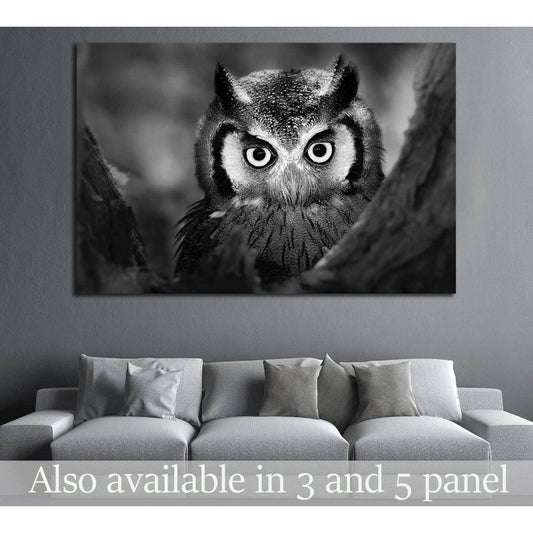 Close-up of a Whitefaced Owl №1842 Ready to Hang Canvas PrintCanvas art arrives ready to hang, with hanging accessories included and no additional framing required. Every canvas print is hand-crafted, made on-demand at our workshop and expertly stretched