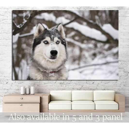 Dog and Snow №1 Ready to Hang Canvas PrintCanvas art arrives ready to hang, with hanging accessories included and no additional framing required. Every canvas print is hand-crafted, made on-demand at our workshop and expertly stretched around 100% North A