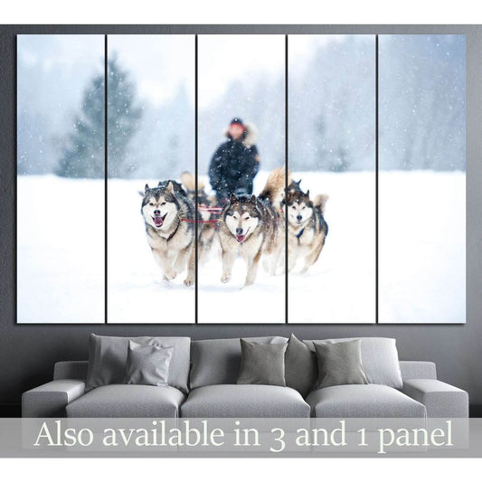 Dogs team and Snow №7 Ready to Hang Canvas PrintCanvas art arrives ready to hang, with hanging accessories included and no additional framing required. Every canvas print is hand-crafted, made on-demand at our workshop and expertly stretched around 100% N