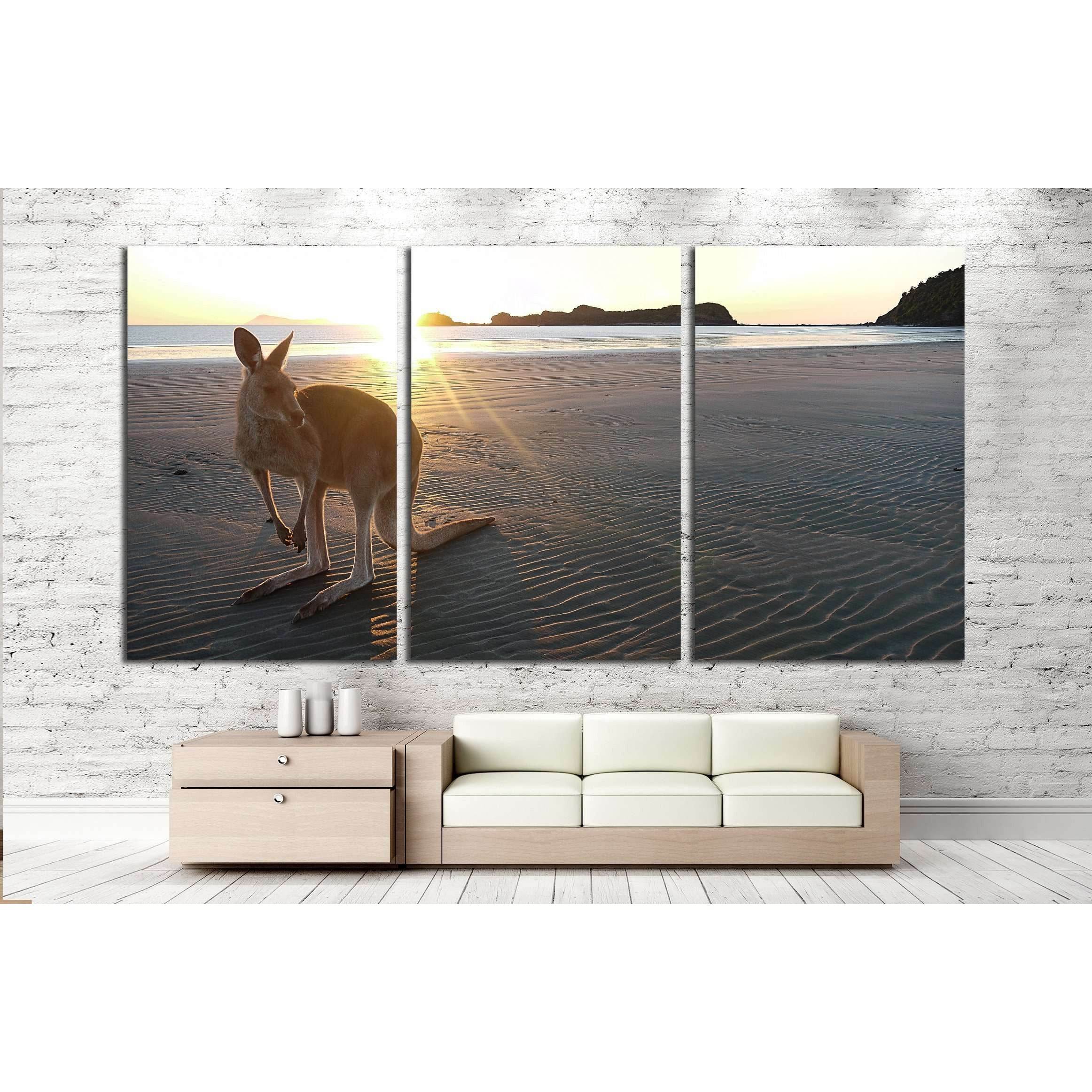 https://www.zellart.com/cdn/shop/products/kangaroo-on-a-beach-at-cape-hillsborough-in-queensland-australia-no-2375-3-panel-canvas-print-wall-art-zellart-2.jpg?v=1666036868