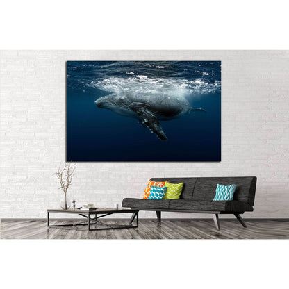 Large Whale №513 Ready to Hang Canvas PrintCanvas art arrives ready to hang, with hanging accessories included and no additional framing required. Every canvas print is hand-crafted, made on-demand at our workshop and expertly stretched around 100% North