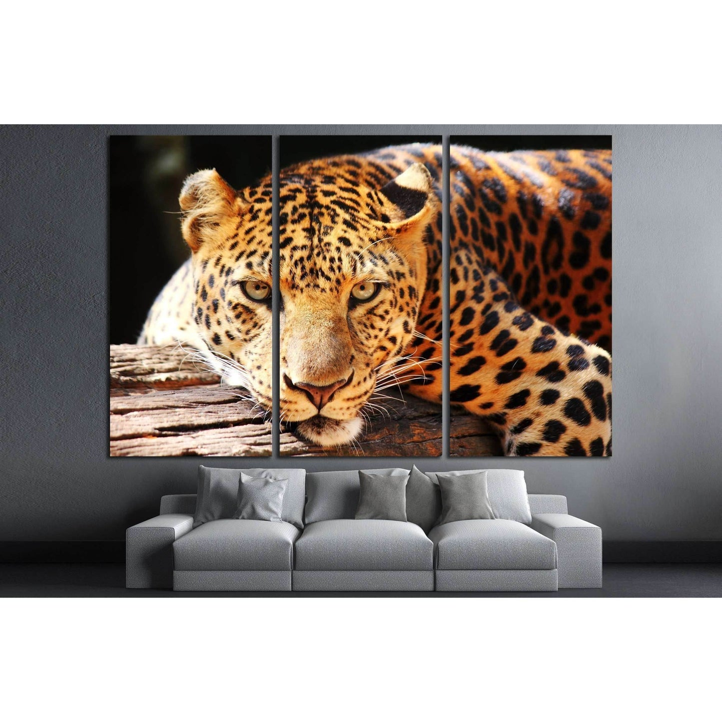 leopard panther resting relax on tree №2349 Ready to Hang Canvas PrintCanvas art arrives ready to hang, with hanging accessories included and no additional framing required. Every canvas print is hand-crafted, made on-demand at our workshop and expertly s