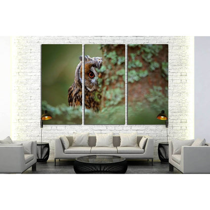 Long-eared Owl with big orange eyes behind larch tree trunk, Sweden №1861 Ready to Hang Canvas PrintCanvas art arrives ready to hang, with hanging accessories included and no additional framing required. Every canvas print is hand-crafted, made on-demand