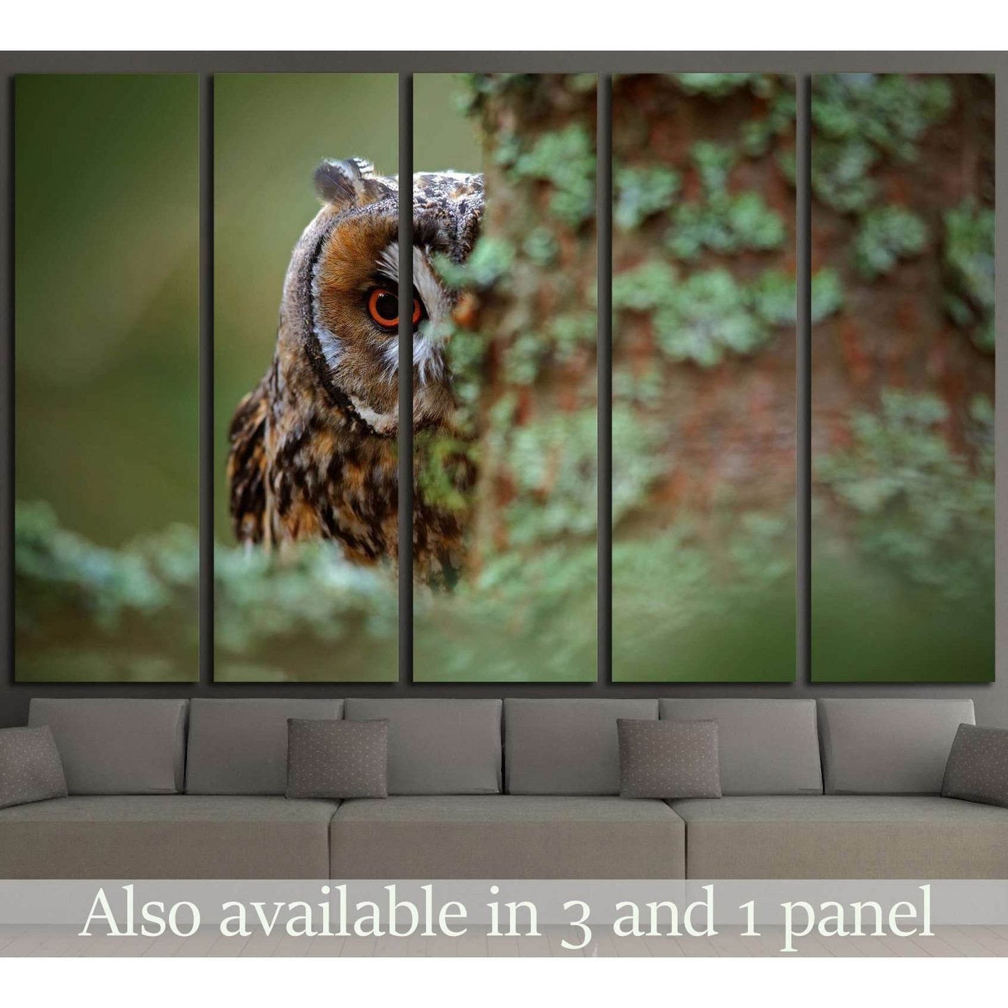 Long-eared Owl with big orange eyes behind larch tree trunk, Sweden №1861 Ready to Hang Canvas PrintCanvas art arrives ready to hang, with hanging accessories included and no additional framing required. Every canvas print is hand-crafted, made on-demand