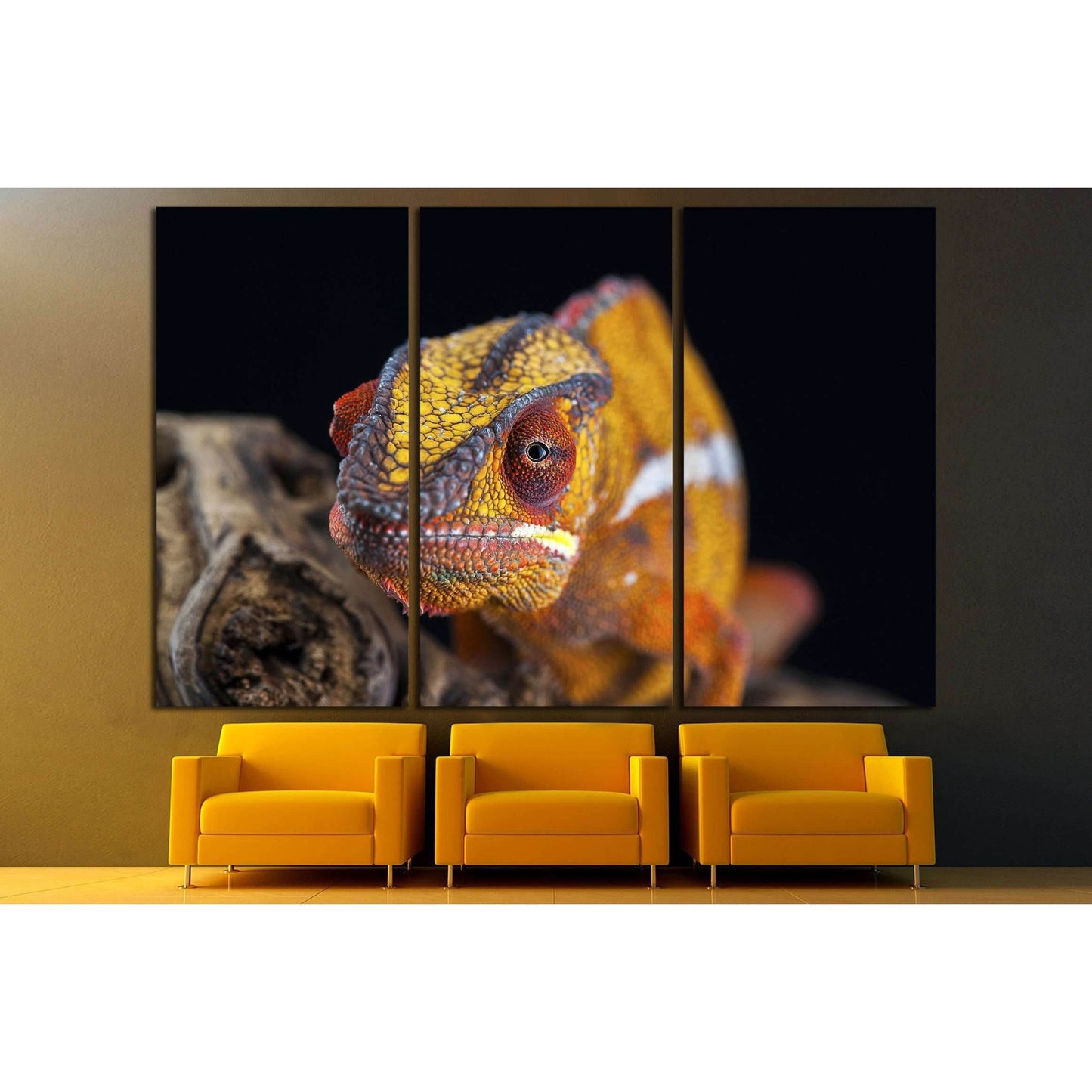 orange chameleon isolated on black background №3261 Ready to Hang Canvas PrintCanvas art arrives ready to hang, with hanging accessories included and no additional framing required. Every canvas print is hand-crafted, made on-demand at our workshop and ex