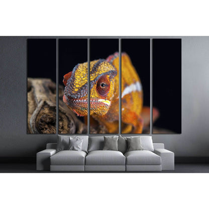 orange chameleon isolated on black background №3261 Ready to Hang Canvas PrintCanvas art arrives ready to hang, with hanging accessories included and no additional framing required. Every canvas print is hand-crafted, made on-demand at our workshop and ex