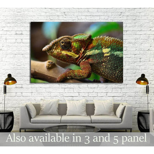 Panther chameleon №2787 Ready to Hang Canvas PrintCanvas art arrives ready to hang, with hanging accessories included and no additional framing required. Every canvas print is hand-crafted, made on-demand at our workshop and expertly stretched around 100%