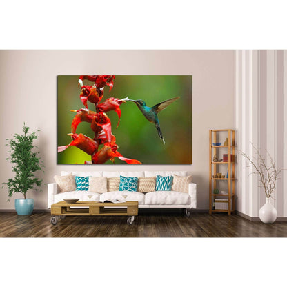 Rare hummingbird from Costa Rica №1445 Ready to Hang Canvas PrintCanvas art arrives ready to hang, with hanging accessories included and no additional framing required. Every canvas print is hand-crafted, made on-demand at our workshop and expertly stretc