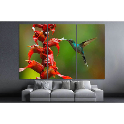 Rare hummingbird from Costa Rica №1445 Ready to Hang Canvas PrintCanvas art arrives ready to hang, with hanging accessories included and no additional framing required. Every canvas print is hand-crafted, made on-demand at our workshop and expertly stretc