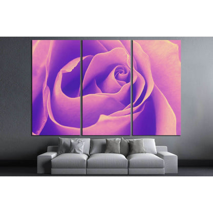 Rose, top view, petals, close-up, fragment - helical structure №2555 Ready to Hang Canvas PrintCanvas art arrives ready to hang, with hanging accessories included and no additional framing required. Every canvas print is hand-crafted, made on-demand at ou