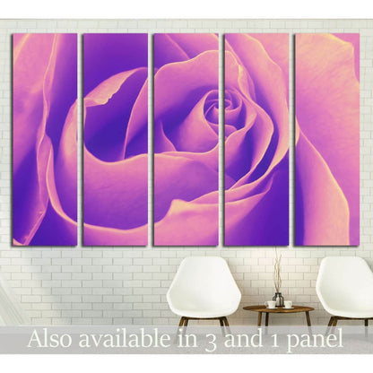 Rose, top view, petals, close-up, fragment - helical structure №2555 Ready to Hang Canvas PrintCanvas art arrives ready to hang, with hanging accessories included and no additional framing required. Every canvas print is hand-crafted, made on-demand at ou