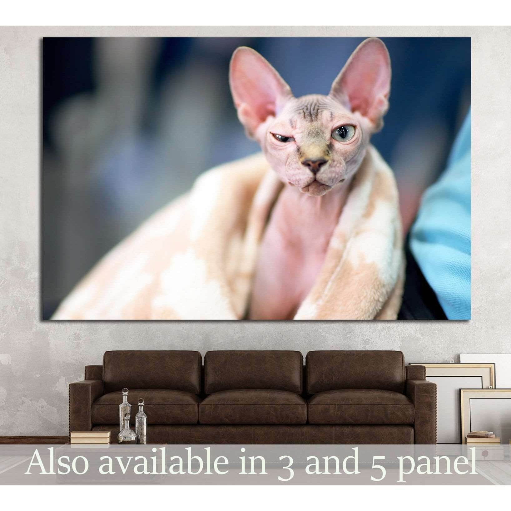 Serious cat №13 Ready to Hang Canvas PrintCanvas art arrives ready to hang, with hanging accessories included and no additional framing required. Every canvas print is hand-crafted, made on-demand at our workshop and expertly stretched around 100% North A