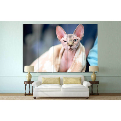 Serious cat №13 Ready to Hang Canvas PrintCanvas art arrives ready to hang, with hanging accessories included and no additional framing required. Every canvas print is hand-crafted, made on-demand at our workshop and expertly stretched around 100% North A