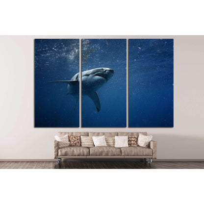 Shark №503 Ready to Hang Canvas PrintCanvas art arrives ready to hang, with hanging accessories included and no additional framing required. Every canvas print is hand-crafted, made on-demand at our workshop and expertly stretched around 100% North Americ