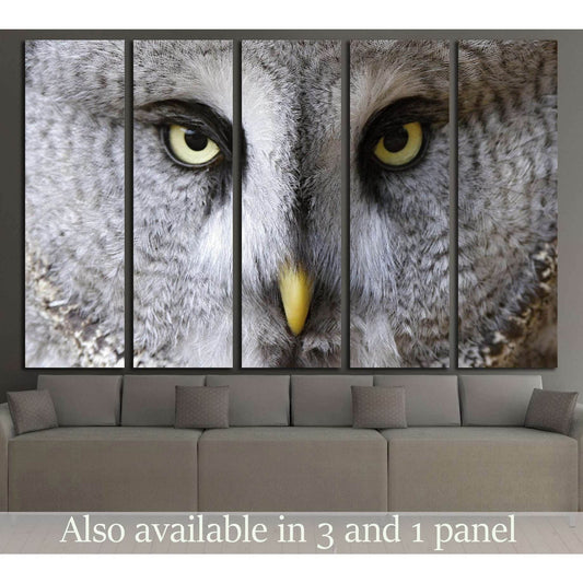 snow owl portrait №2784 Ready to Hang Canvas PrintCanvas art arrives ready to hang, with hanging accessories included and no additional framing required. Every canvas print is hand-crafted, made on-demand at our workshop and expertly stretched around 100%