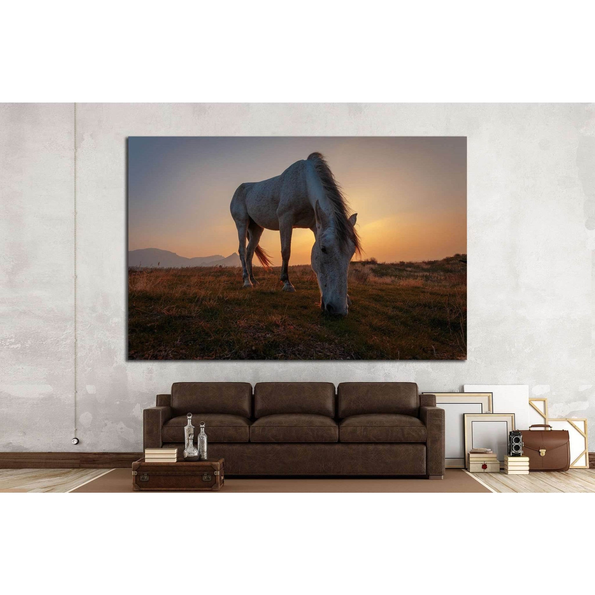 White horse on pasture №1116 Ready to Hang Canvas PrintCanvas art arrives ready to hang, with hanging accessories included and no additional framing required. Every canvas print is hand-crafted, made on-demand at our workshop and expertly stretched around